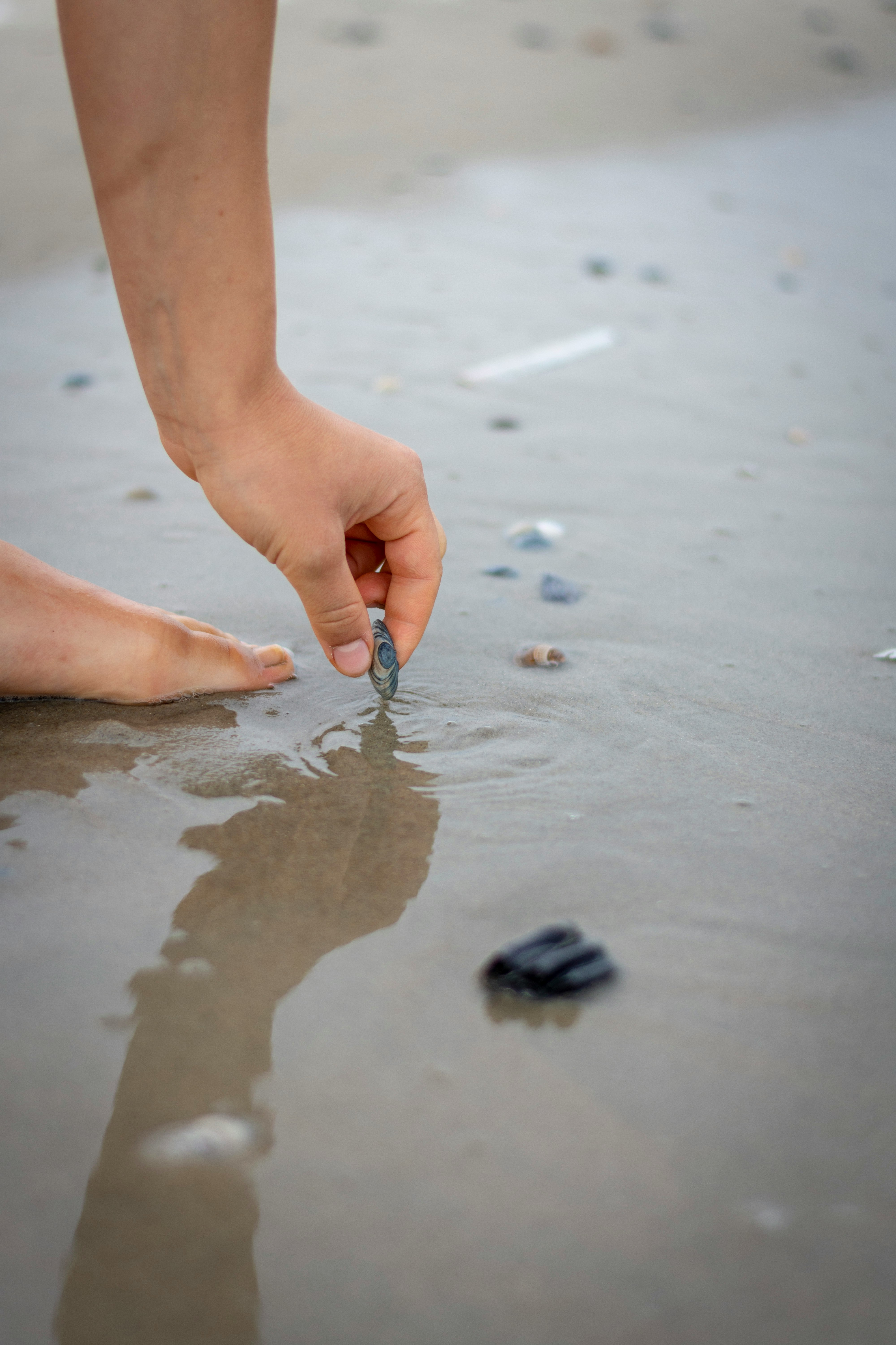 person holding gray pebble